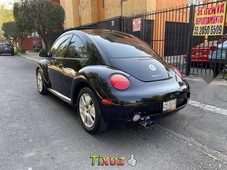 Bonito Beetle