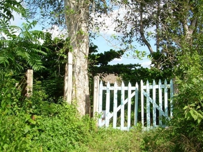 Terreno en Venta en Carretera a Coba Km 17 Tulum, Quintana Roo