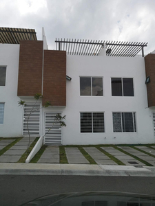 Amplia Casa En Renta Chapultepec Residencial 3 Recamaras
