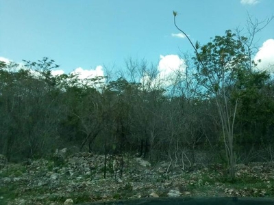 Terreno en venta en Conkal, cerca de Merida Yucatan