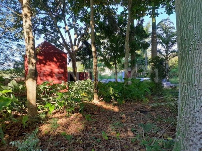 Hacienda Ubicada A 42 Km De La Ciudad De Mérida 35.5 Has. Con Cenote Piscina.