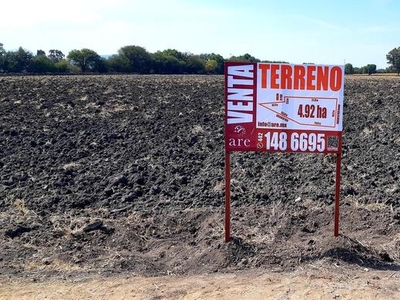 Terreno de 5 Ha. en VENTA en El Sauz, Pedro Escobedo, Qro.