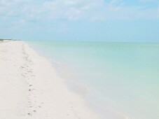 terreno a pie de playa en celestún yucatan