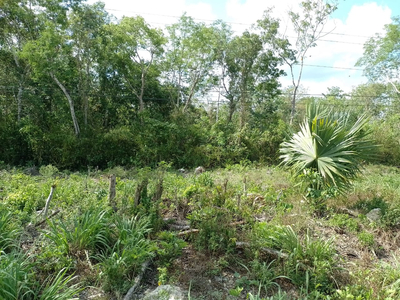 Terreno De 2.8 Sobre Carretera Cancún Merida