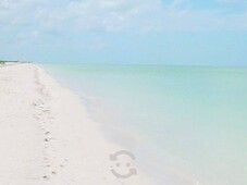 terreno a pie de playa en celestún yucatan