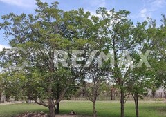 terreno en venta con vista al tepozteco