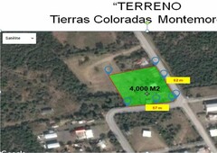 más de 500 mts. en renta en montemorelos