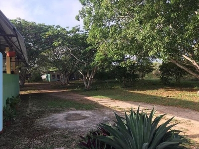 Casa habitación e instalaciones de granja porcícola ubicadas en Umán Yucatán
