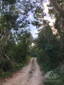 200000 m terreno en venta en ruta de los cenotes puerto morelos