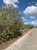 terreno en venta en cholul, mérida, yucatán