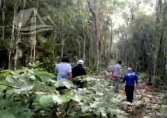 terreno en venta en tulum