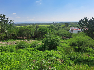 Terreno En Venta En Fraccionamiento Club De Golf Balvanera Panoramico