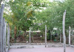 704 m venta de terreno en leona vicario cerca de cancun y cenotes