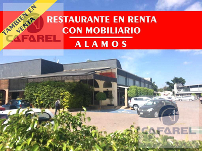 Atencion Inversionistas !! Restaurante En Renta En Alamos (mt)