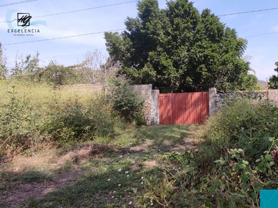 Terreno En Venta, Carretera Federal Alpuyeca, Morelos