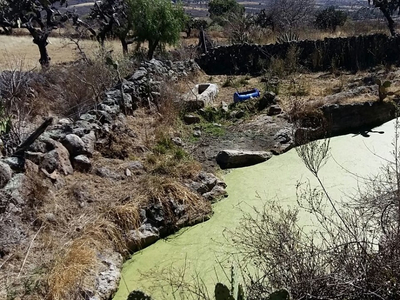 Venta De Rancho En Jerécuaro, Guanajuato, 7 Hectareas.