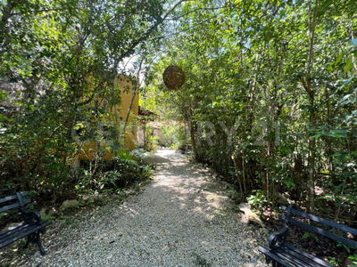 Villa En Medio De La Selva Para Eventos Con Cenote Propio, En Puerto Morelos