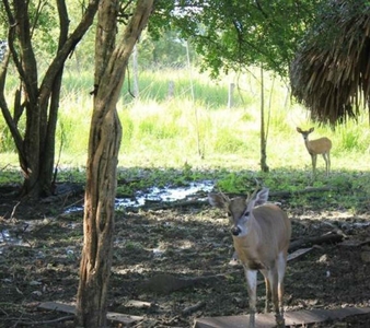 Rancho en Venta en Campeche, Campeche