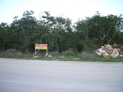 Terreno en Venta en Forjadores Playa del Carmen, Quintana Roo