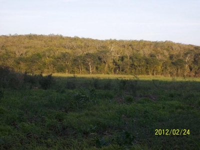 Terreno en Venta en Hopelchén, Campeche