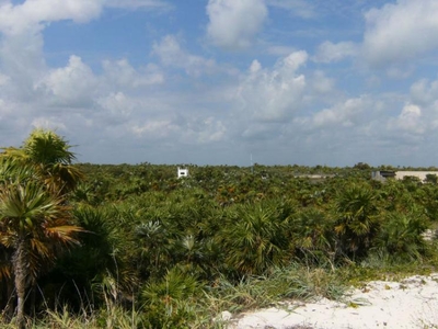 Terreno en Venta en Isla Blanca Cancún, Quintana Roo