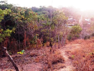 Terreno en Venta en La Primavera Tapachula de Córdova y Ordóñez, Chiapas