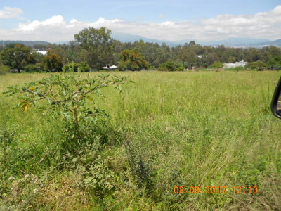 TERRENO EN VENTA EN SAN JOSE DLE CERRITO