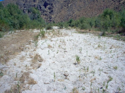 Terreno en Venta en Valle de las Palmas, Baja California
