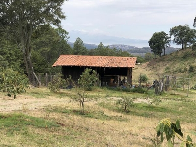 HUERTA DE AGUACATE EN VENTA EN MORELIA