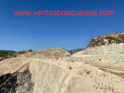 TERRENO EN VENTA BOSQUE REAL