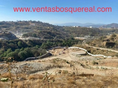 TERRENO EN VENTA BOSQUE REAL