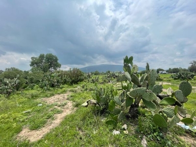 Terreno en venta en San Martin de las Pirámides