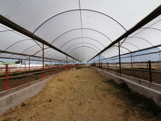 rancho en acatlán producción ganadera y planta de queso metros cúbicos