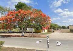 terreno sobre avenida de cuatro carriles en yucatán 320m2 -142m de frente -71298m2- tizimín