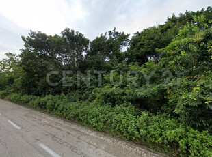 Terreno En Venta, En Francisco Uh May, Tulum