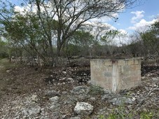 Terreno en venta de 8,000 m2 en Xcunya, Yucatán