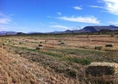 terreno agrícola de 8 hectáreas en ejido el higo en saltillo