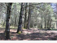 800 m terreno en venta en fraccionamiento campestre bonitas