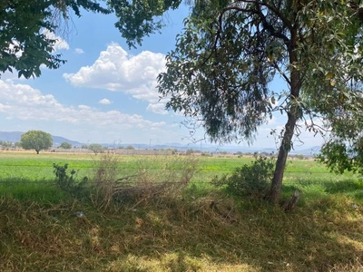 Amplio Terreno En Venta En Zapotlán Hidalgo