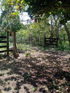 En venta hermoso rancho a 15 minutos de Tizimín, Yucatán.
