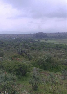 Rancho San Diego de la Unión Guanajuato