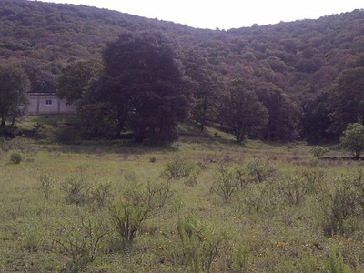 Terreno en VENTA de 100 hectáreas con una cabaña en Ojo de Agua, Tolimán, Qro.