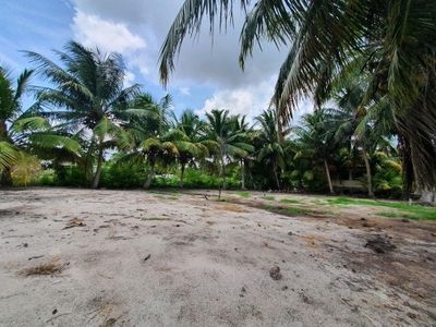 Terreno en venta en playa San Crisanto Merida Yucatan
