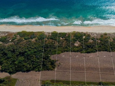 Terreno Frente a La Playa Para Desarrolladores la encomienda Puerto Escondido