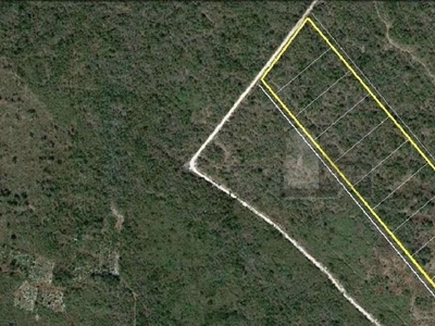 Terreno de 10 ha. en Venta en San Antonio Tehuitz, Kanasín, 10 hectáreas, Energia electrica enfrente