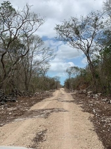 Terreno residencial en venta en Mérida, Sisal