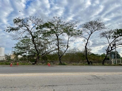 Terreno sobre Carretera Merida-Motul, Yucatán