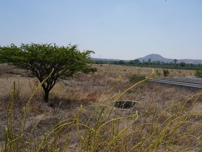 Vendo terreno diez hectáreas Inversionistas Teotihuacán