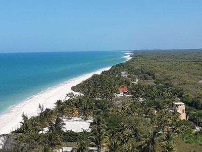 Venta Terreno frente al mar Celestún Yucatan