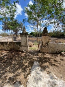 Casco de Hacienda antigua finca azucarera propiedad privada $29,000 por hectárea